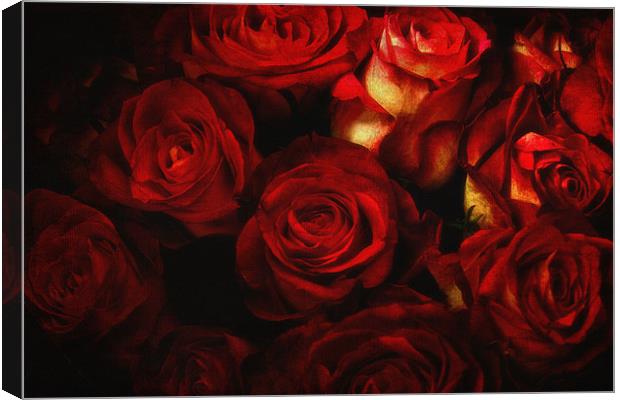 Bed Of Roses Canvas Print by Chris Manfield