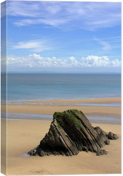 Rock Solid Canvas Print by Chris Manfield