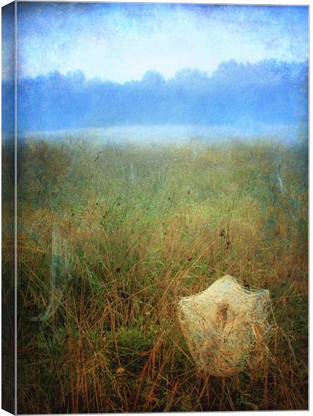 Morning dew Canvas Print by Chris Manfield