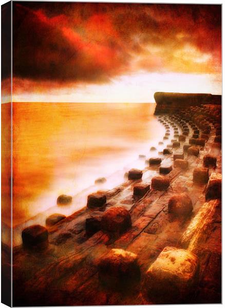 Under Red Skies Canvas Print by Chris Manfield