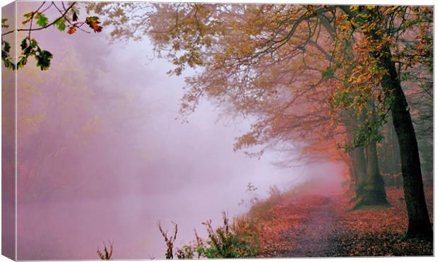 Shades of autumn Canvas Print by Chris Manfield