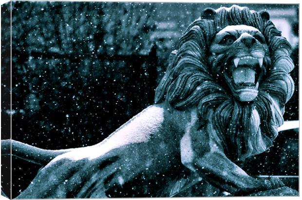 Lion Of Winter Canvas Print by Chris Manfield