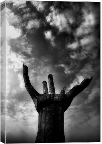 Reach for the Sky Canvas Print by Chris Manfield