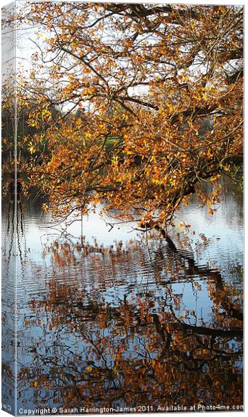 Autumn colours over a lake Canvas Print by Sarah Harrington-James