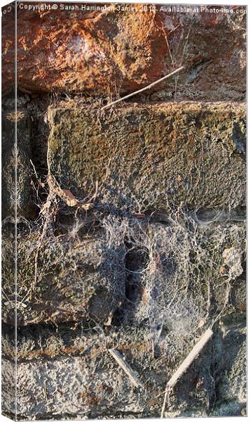 Ancient brickwall Canvas Print by Sarah Harrington-James