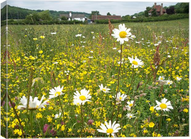 Wildflower summer meadow Canvas Print by Sarah Harrington-James