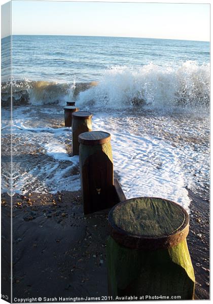 Waves crashing on beach at Winchelsea Canvas Print by Sarah Harrington-James