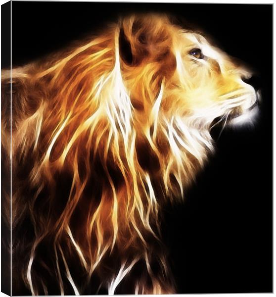 Lion Canvas Print by Sam Smith