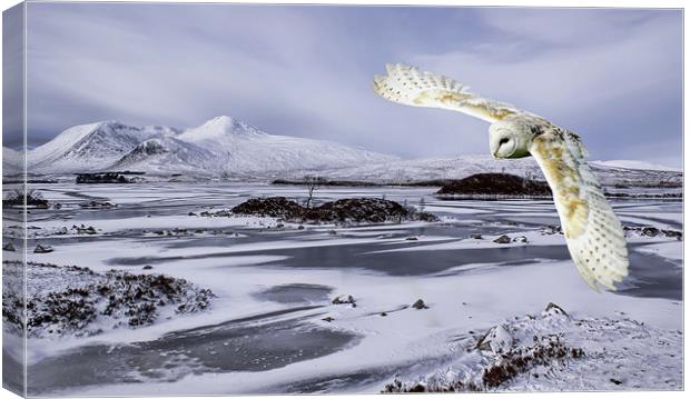 Owl flying over Rannoch Moor Canvas Print by Sam Smith
