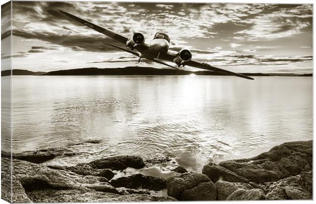 Low Flying Canvas Print by Sam Smith