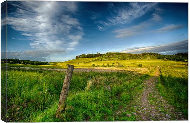 Country Path Canvas Print by Sam Smith