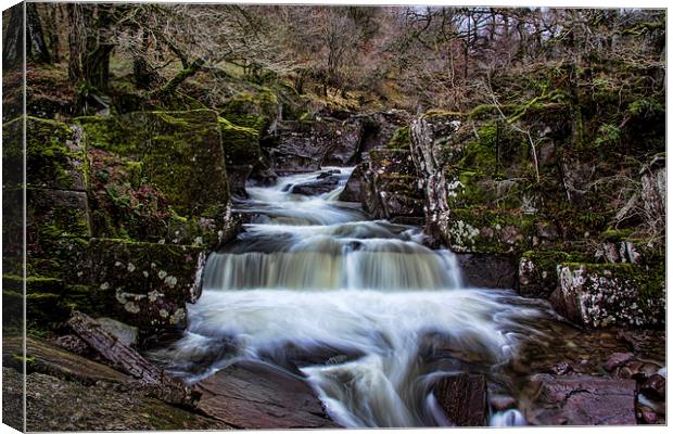 Bracklinn Falls Canvas Print by Sam Smith