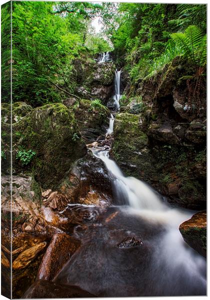 Little Fawn Waterfall Canvas Print by Sam Smith