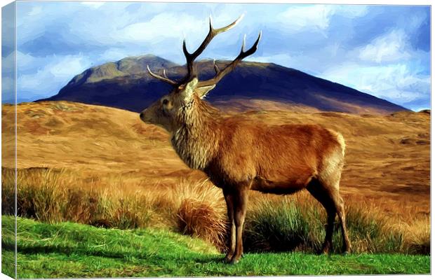  Stag Canvas Print by Sam Smith
