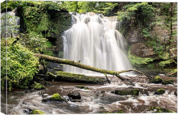 Scottish waterfall Canvas Print by Sam Smith