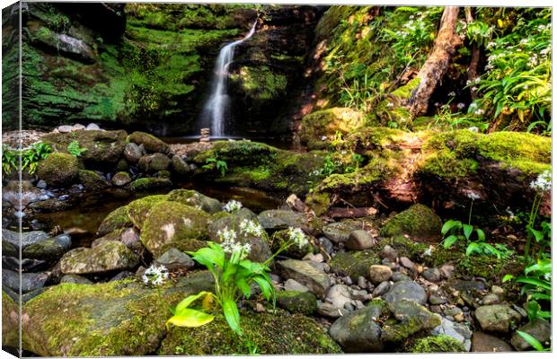 Waterfall Canvas Print by Sam Smith