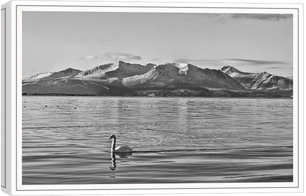 Black & White Landscape Canvas Print by Sam Smith