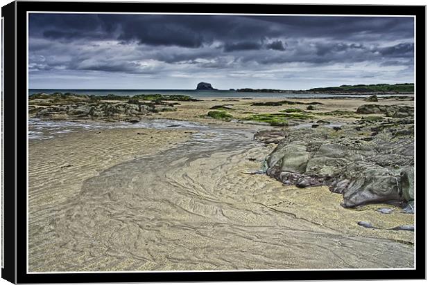 North Berwick Canvas Print by Sam Smith