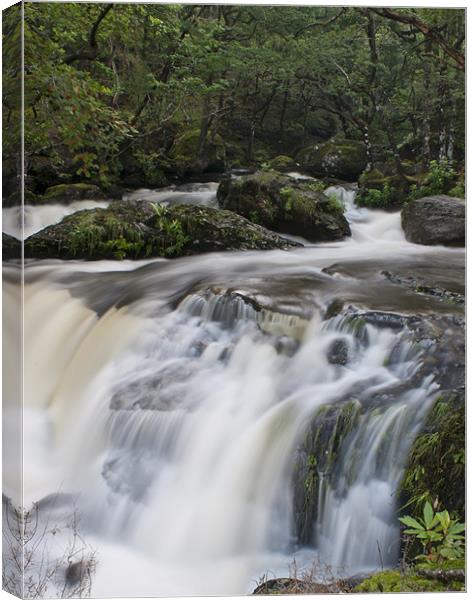 Waterfall Canvas Print by Sam Smith