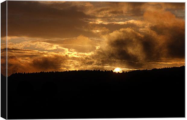 The golden sunset Canvas Print by kelly williams