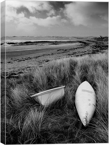 In The Dunes Canvas Print by Ian Tomkinson