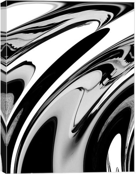 Black and  White Canvas Print by Ian Tomkinson