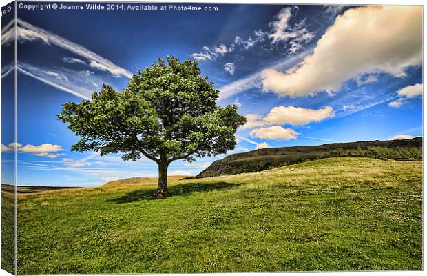 The Lonley Tree at Dovestones Canvas Print by Joanne Wilde
