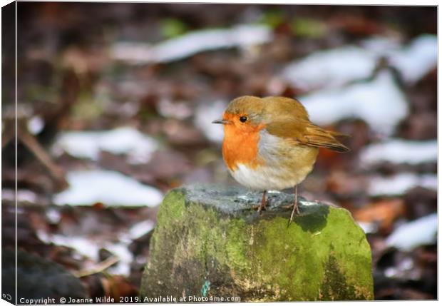 Robin Canvas Print by Joanne Wilde