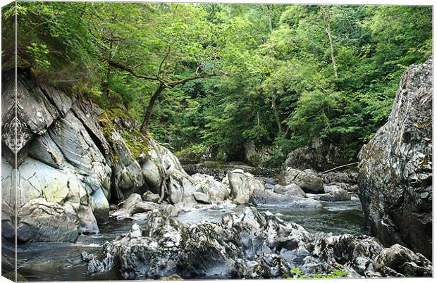 Fairy Glen 4709 Canvas Print by colin ashworth