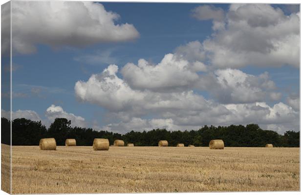 Hay Field Scene Canvas Print by Simon H