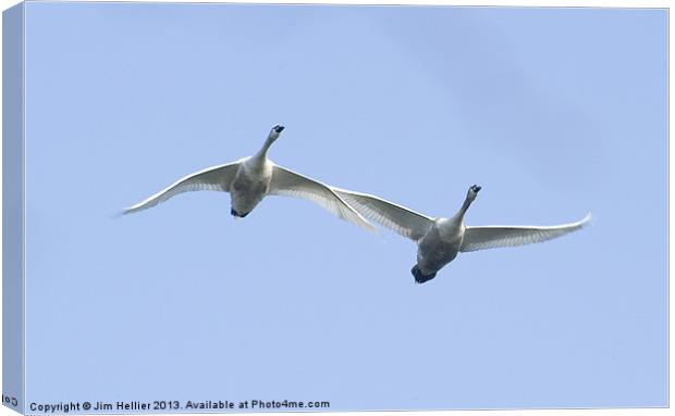 Fly Pass Canvas Print by Jim Hellier