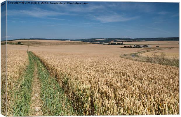 Pathway to the Chiltern Hills Canvas Print by Jim Hellier