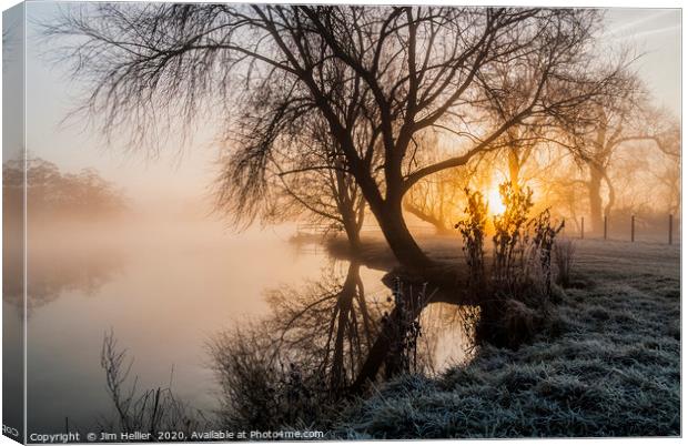 Sunrise through the Willow Canvas Print by Jim Hellier