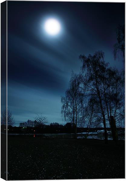 Full Moon Canvas Print by