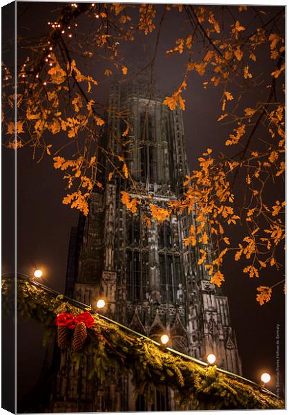 Münster at Christmas 2013 Canvas Print by