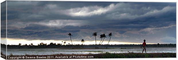 Boy Walking in a Storm Kerala Panorama Canvas Print by Serena Bowles