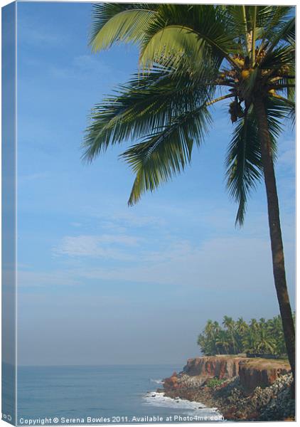 Palm Trees on the Cliff Varkala Canvas Print by Serena Bowles
