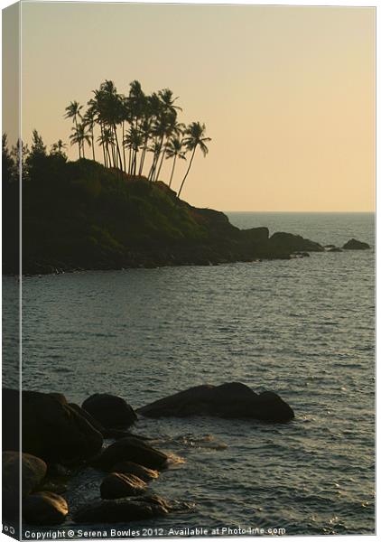 Palm Trees on the Point Palolem, Goa, India Canvas Print by Serena Bowles