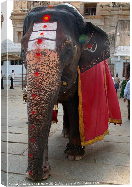 Laxmi the Elephant in Hampi Temple Canvas Print by Serena Bowles