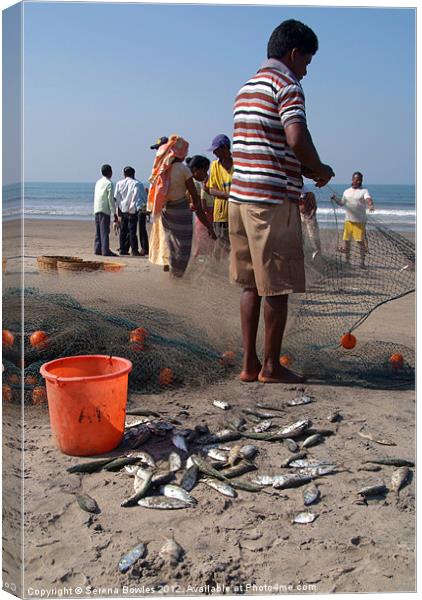 Fishermen Sorting the Catch Arambol Canvas Print by Serena Bowles