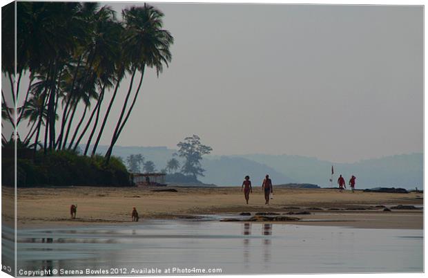 Along the Palm Lined Beach North Goa, India Canvas Print by Serena Bowles