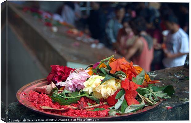 Offerings at Dakshinkali Canvas Print by Serena Bowles