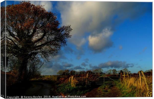 Blue Skies and Clouds above Kent Country Lane and  Canvas Print by Serena Bowles