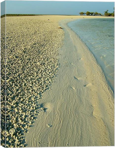 Textured Sand Canvas Print by Serena Bowles
