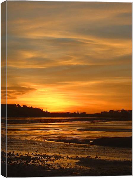 Port Headland Sunset Canvas Print by Serena Bowles