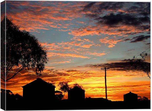 Sunset on the Farm Canvas Print by Serena Bowles