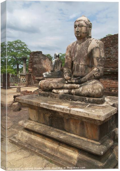 Buddha Statue Polonnaruwa Canvas Print by Serena Bowles