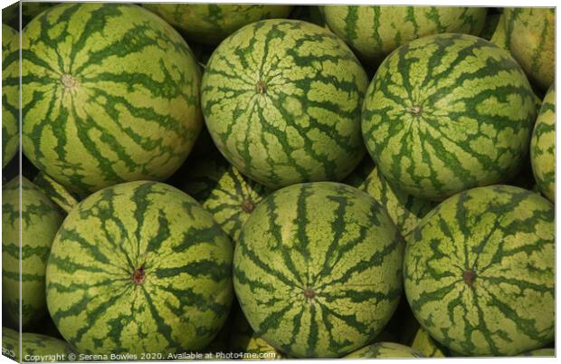 Watermelons for Sale Canvas Print by Serena Bowles