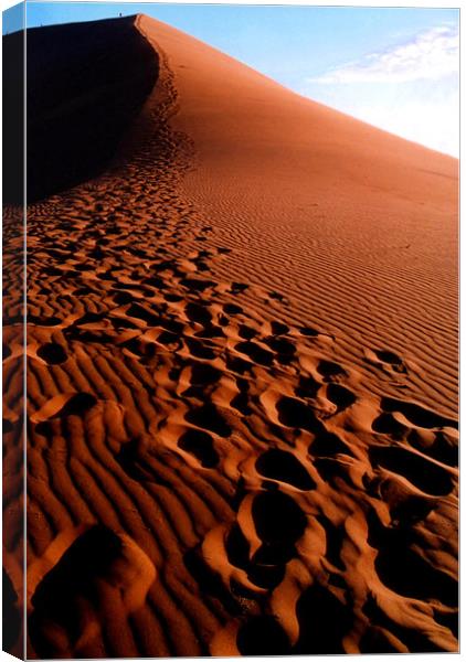Footsteps in the Sand, Dune 45, Sossusvlei, Namibi Canvas Print by Serena Bowles