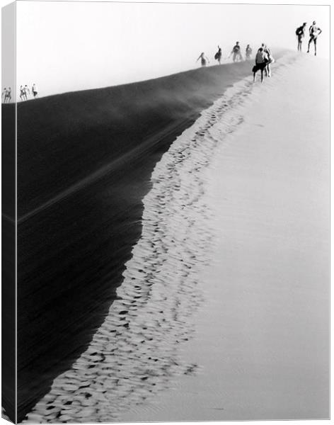 Climbing the Dune Canvas Print by Serena Bowles